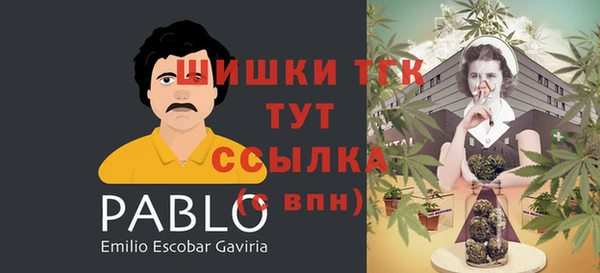 apvp Абинск