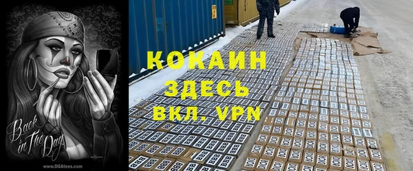 спиды Няндома