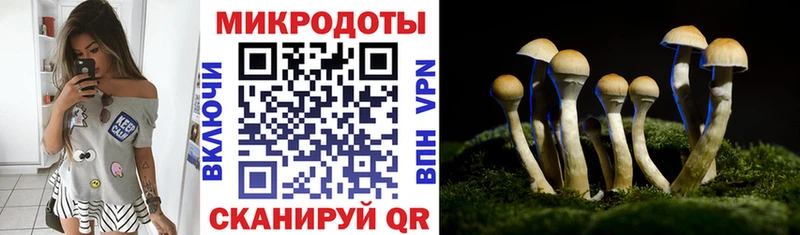 гидра ссылка  Щёкино  Галлюциногенные грибы мицелий 